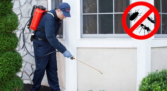 Alaçam Böcek ve Haşere İlaçlama böcek ilaçlama ve haşere kontrolü — ilaclama-tr.com